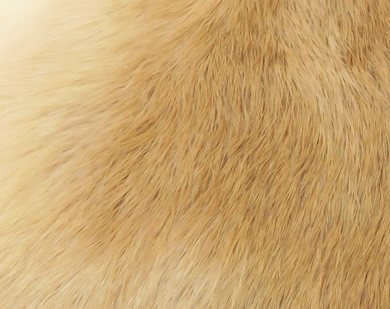 Cross Cut Whole Rabbit Hide