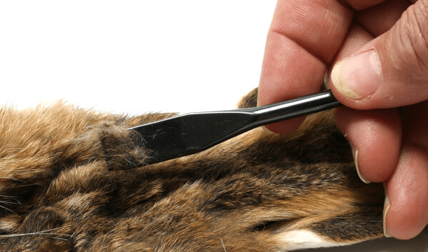 Hareline - Premium Ceramic Dubbing Rake - Tying Tools - Fly Fish Food