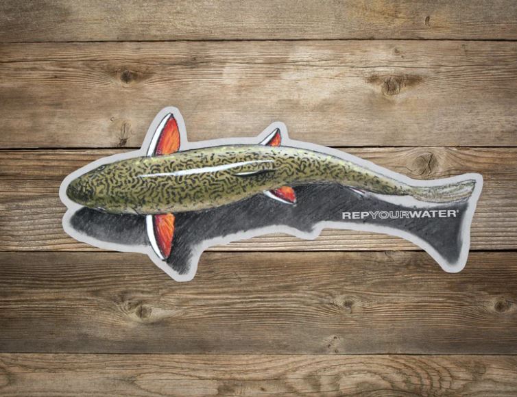 Rep Your Water - Shallow Water Brookie Artist's Reserve Sticker - Large