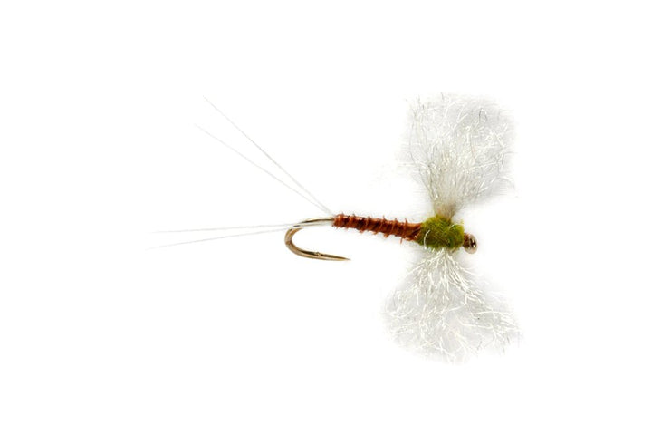 Elden's Flavilinea Spinner - Flies - Fly Fish Food